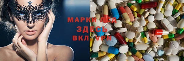 стафф Алексин