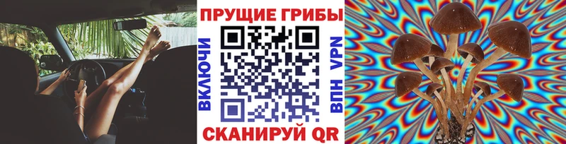 где продают Лянтор Псилоцибиновые грибы Psilocybine cubensis